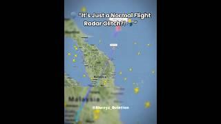 ️”It’s Just a Normal Flight Radar Glitch?!‍️” - MH370 Crash #aviation #planes #crash