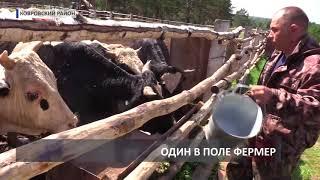 2018 08 10 Фермер возрождает Милиново. Спецрепортаж
