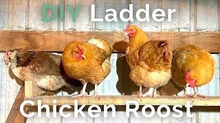 Build a chicken roost in under 30 minutes | Round or Flat Roosting Bars, Which is Better?