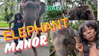 Things to do at the Elephant Manor #youtube #thingstodoinbali