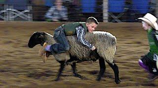 Mutton Bustin' - 2019 Motley Dickens Old Settlers Rodeo (Saturday)