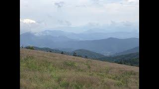 Carvers Gap | Roan Mountain | Appalachian Trail | NC/TN Line