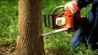 Husqvarna Chainsaw 240 - livgm.co.uk