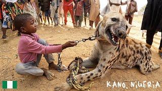 A Day with Nigeria's Fearless Hyena Men! 