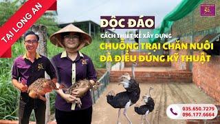 ĐỘC ĐÁO CÁCH THIẾT KẾ XÂY DỰNG CHUỒNG TRẠI CHĂN NUÔI ĐÀ ĐIỂU ĐÚNG KỸ THUẬT ll ĐÀ ĐIỂU HÀ TÂN KỲ