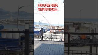 급매물 바닷가 주택매매 포항부동산 포항주택 #착한부동산