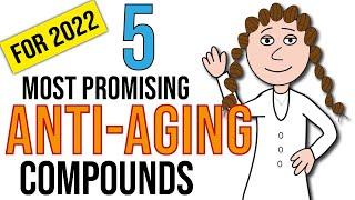 5 most promising anti-aging compounds (updated 2022)
