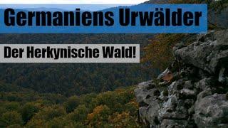 Der Herkynische Urwald - die grüne Hölle Germaniens!