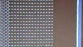 DEF CON 12 - Ian Vitek, Exploring Terminal Services, The Last 12 Month of Research.