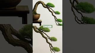 Ranking #bonsai styles from easiest to hardest, do you agree? #bonsaitree