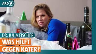 Alkohol: Was hilft gegen Kater und wie vorbeugen? | Dr. Julia Fischer | ARD Gesund