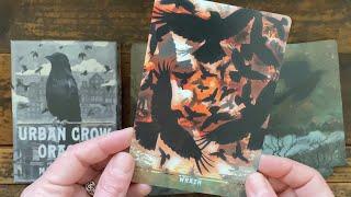 Urban Crow Oracle Deck Flip Through