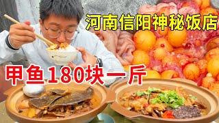 河南信阳隐藏在村里的神秘饭店，甲鱼180块一斤，家常味无敌香#麦总去哪吃