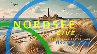 Die besten Webcams an der Nordsee: Live entlang der Küste von Borkum bis Sylt