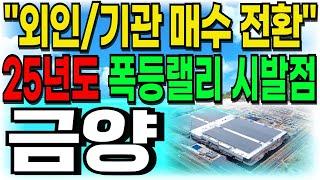 [금양 주가전망] "외인/기관 매수 전환" 25년도 폭등랠리 시발점 절대 놓치지마세요 이제 반등시작 됩니다! 주주여러분들 빨리 시청하세요