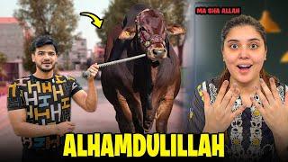 Finally Qurbani Ly Li || It’s A Huge Bablo || Ma Sha Allah 