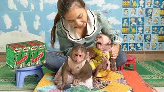 Monkey Kuku cried and beat Mom and Mimi