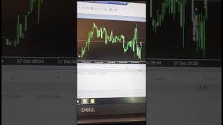 World's Best Bot Oavaea With Multiple Strategies #forex #trading