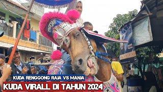Kuda renggong paling virall - Dancing horse video