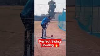 How would you play him? #cricketgraph #shorts #cricket #youtube