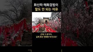 화산파 매화검법이 말도 안 되는 이유