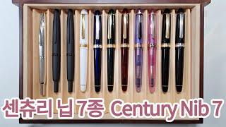 플래티넘 센츄리 3776 닙 7종 이야기ㅣPlatinum Century 3776 seven nibsㅣfountain pen reviewㅣ만년필 리뷰