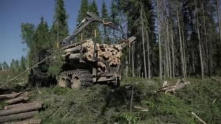 Отзыв Устьянской лесозаготовительной компании о технике John Deere