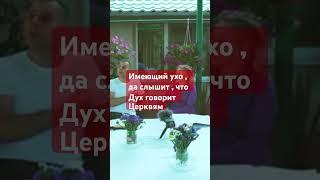 История Миссии Слово Божие . #салтаненко