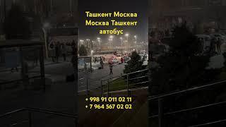 Ташкент Москва автобус#москва #ташкент #автобус