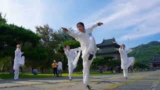 Five girls in wudang#wushu  #kungfu #武当 #武术 #功夫 #中国功夫 #martialarts #fight#wudang#taiji#taichi