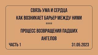 Мурат Мусабаев на встрече с подписчиками от 31.05.2023 | Часть 1