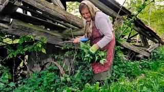 Hard Life of an 80-Year-Old Elder Living Alone in Rural Transylvania