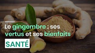 Le gingembre : ses vertus et ses bienfaits