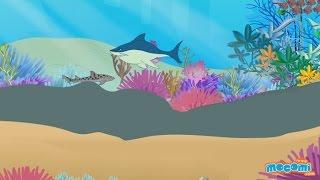 Great Barrier Reef Australia - Coral Reef Facts | Educational Videos by Mocomi Kids