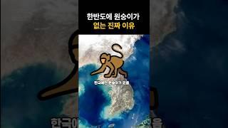 한국은 왜 원숭이가 없을까