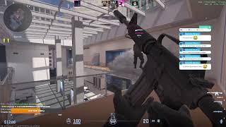 CS2 стримок