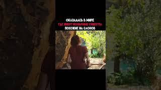 #кино #кинонавечер #нарезки #фильм #фильмынаночь #топкино #фильмы
