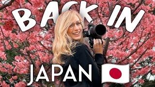 First day back in JAPAN!  (Tokyo camera shopping & sakura spotting)