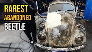 THIS IS THE WORLD’S RAREST BEETLE | CAR WASHING