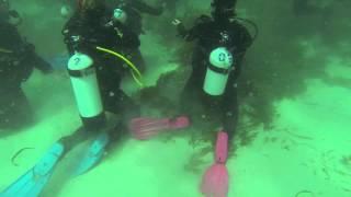 PADI Open Water Day 3 Dive 1 GoPro Rottnest Island