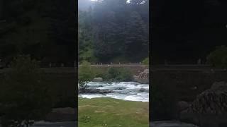 River Lidder at #pahalgam #shorts #shortsfeed #viral