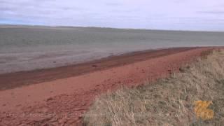 Карпаз, Пляж "Голден Бич". Зима На Северном Кипре [Температура Воздуха На Кипре]