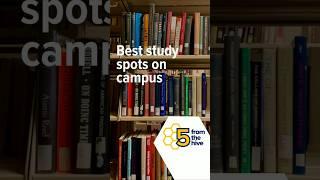 Five from the Hive: Best Study Spots on Campus