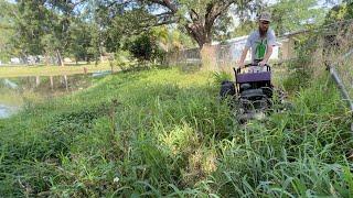 Crazy NEGLECTED WATERFRONT property makeover that I did for FREE!!! [Neighbor HELPED ME!]