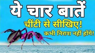 ये चार बातें " चींटी से सीखिए!/ कभी निराश नहीं होना पड़ेगा !/ Learn four things from an ant!