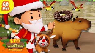 Merriest Animals in the Forest!  | Christmas Special | Leo the Wildlife Ranger | Kids Cartoon