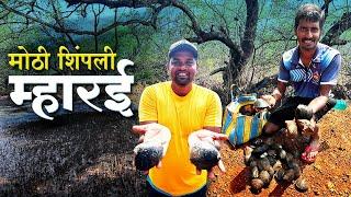 कांदळवाणातील मोठी शिंपली म्हारई | "म्हारईच" कालवण | Authetic Malvani Masala