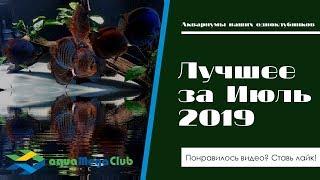 Лучшие аквариумы июля в акваМегаКлубе (из наших страничек в ВК, ФБ и ОК)