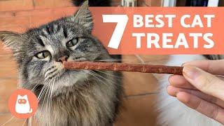 7 TREATS for CATS  How to Reward Your Feline