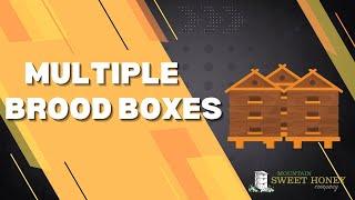 What Is The Benefit To Installing Two Brood Boxes? - Mountain Sweet Honey